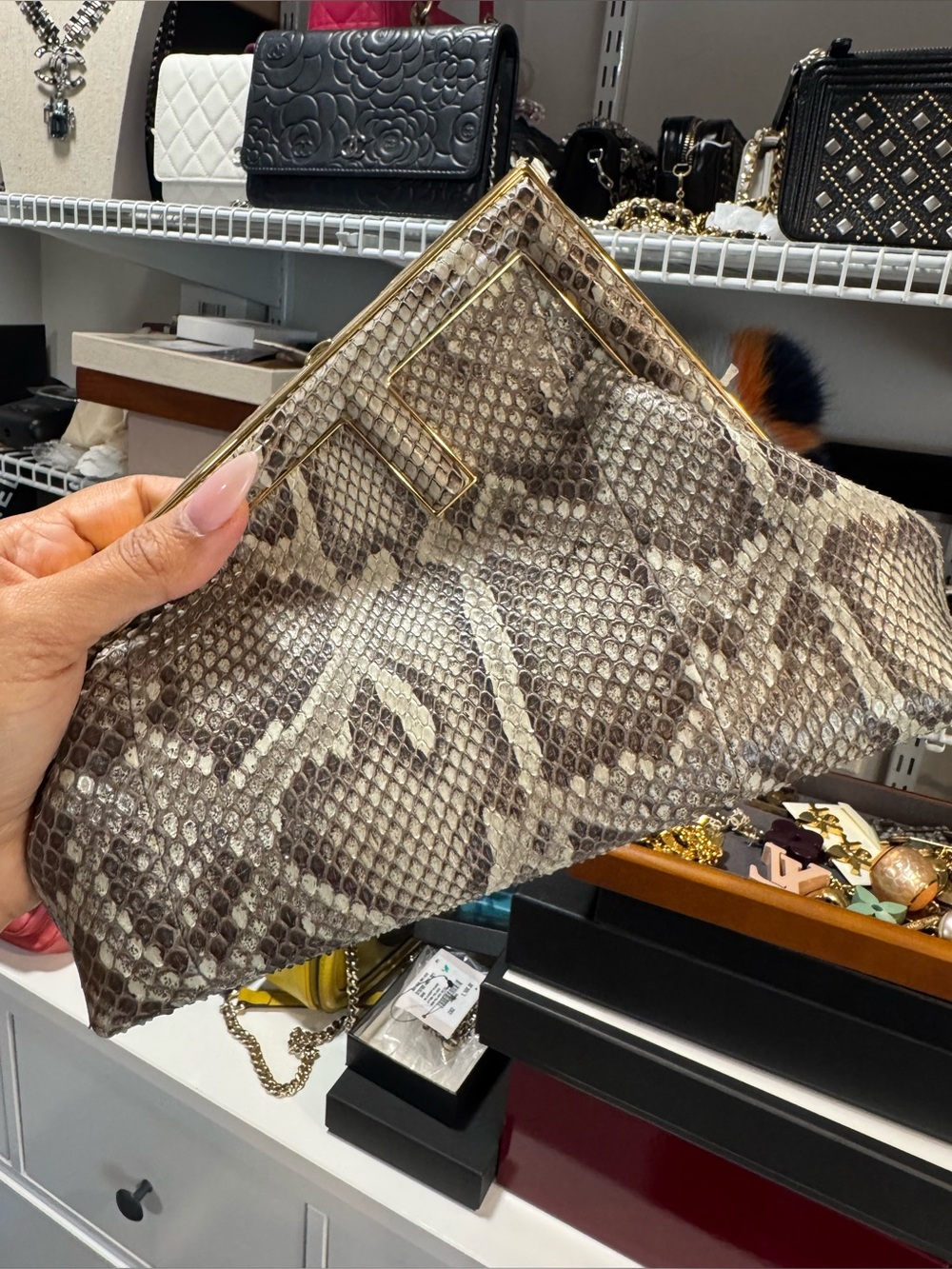Fendi first Python - Picture 1 of 1